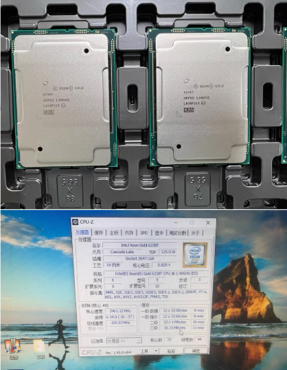 Gold 6248R - 1 stuk Xeon Gold 6226 6230
